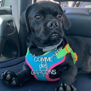 Meet your Posher, Jonah